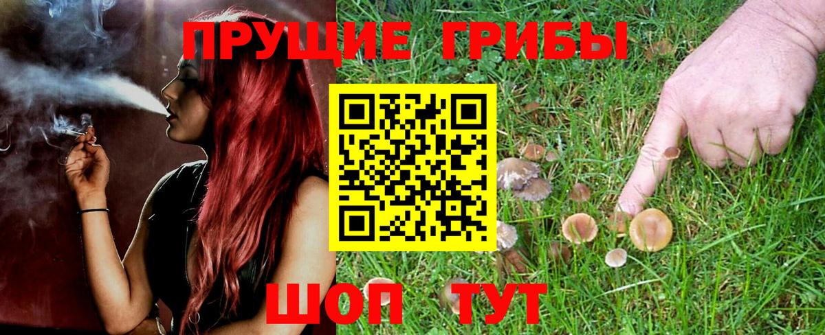 Галлюциногенные грибы Cubensis Арзамас
